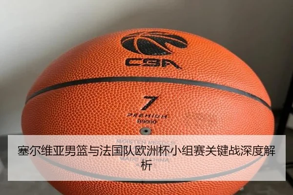 塞尔维亚男篮与法国队欧洲杯小组赛关键战深度解析