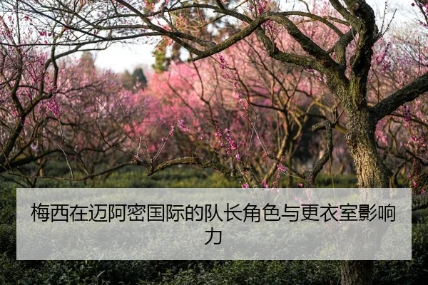 梅西在迈阿密国际的队长角色与更衣室影响力
